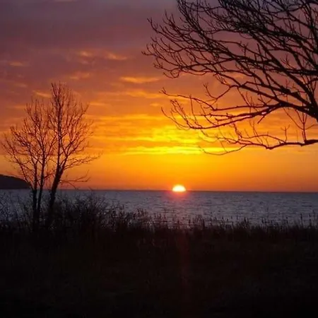 Schilfdachvilla Zeesboothaus We308